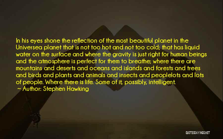 Water Reflection Quotes By Stephen Hawking