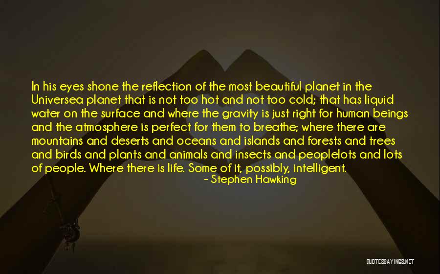 Water Reflection Quotes By Stephen Hawking Water Reflection Quotes By Stephen Hawking