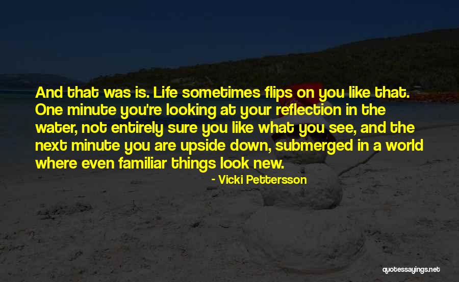Water Reflection Quotes By Vicki Pettersson Water Reflection Quotes By Vicki Pettersson