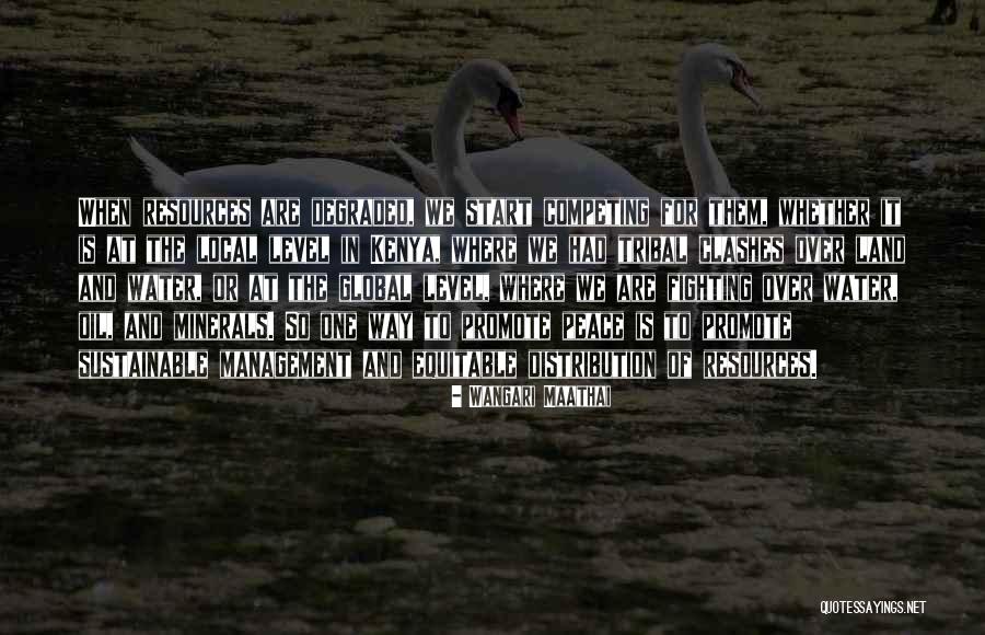 Water Resources Management Quotes By Wangari Maathai Water Resources Management Quotes By Wangari Maathai