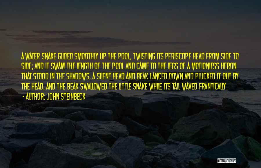 Water Snake Quotes By John Steinbeck