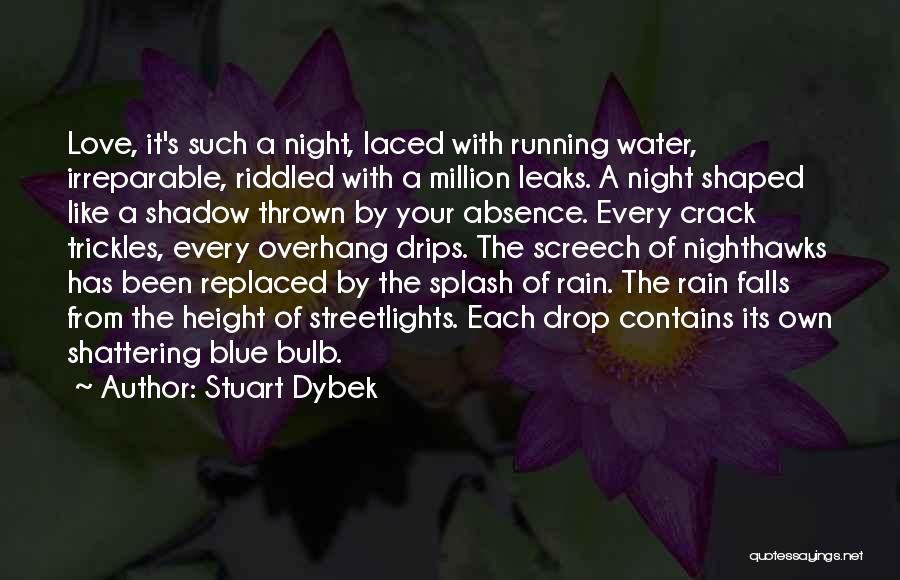 Water Splash Quotes By Stuart Dybek