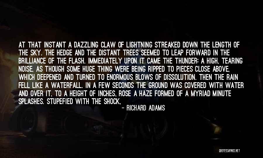 Water Splashes Quotes By Richard Adams Water Splashes Quotes By Richard Adams