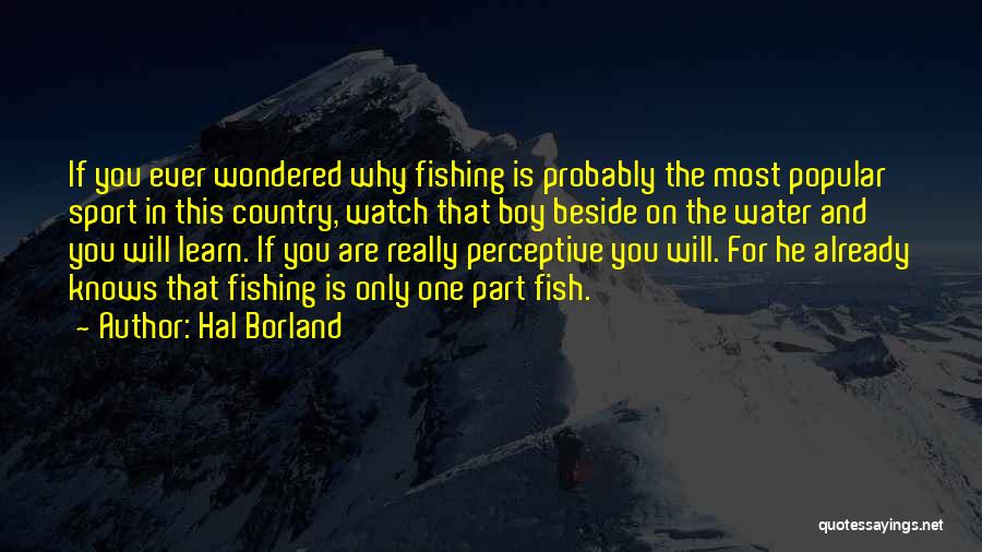 Water Sports Quotes By Hal Borland