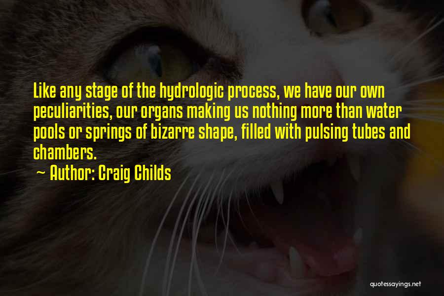 Water Springs Quotes By Craig Childs