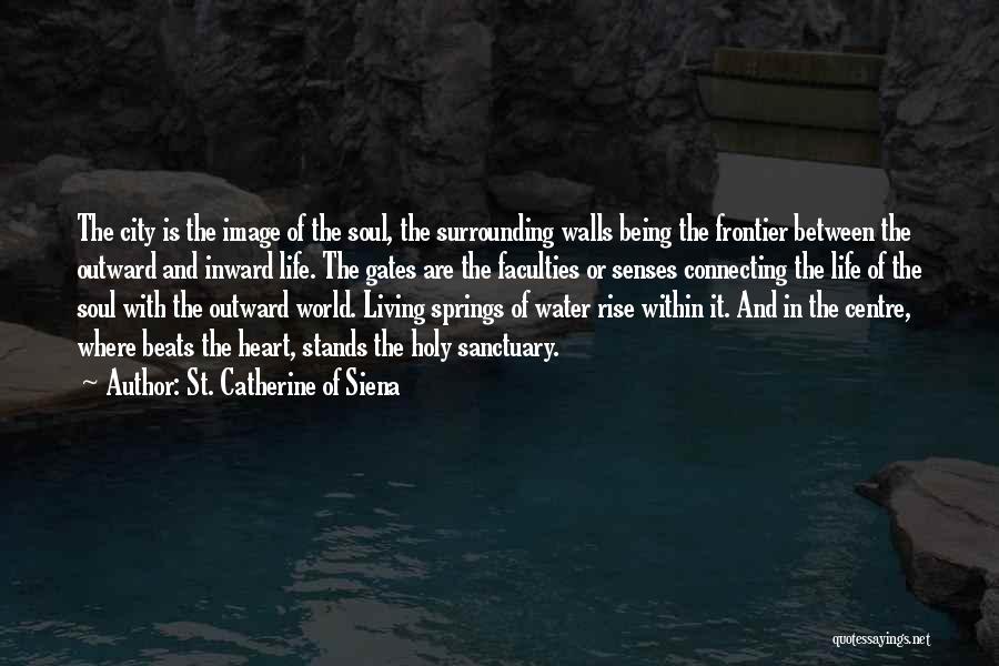 Water Springs Quotes By St. Catherine Of Siena