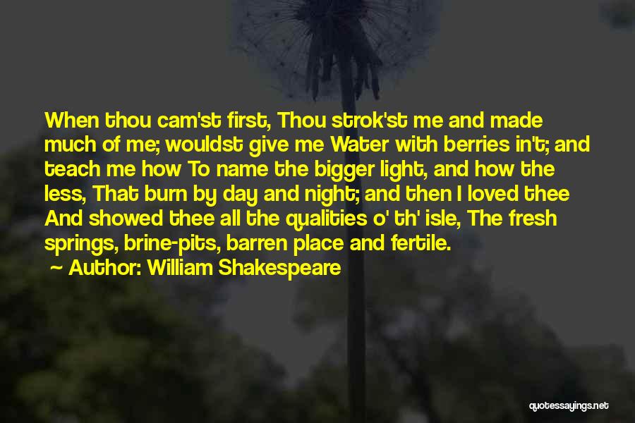 Water Springs Quotes By William Shakespeare