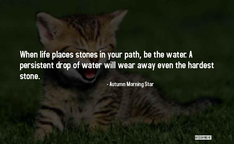 Water Stone Quotes By Autumn Morning Star