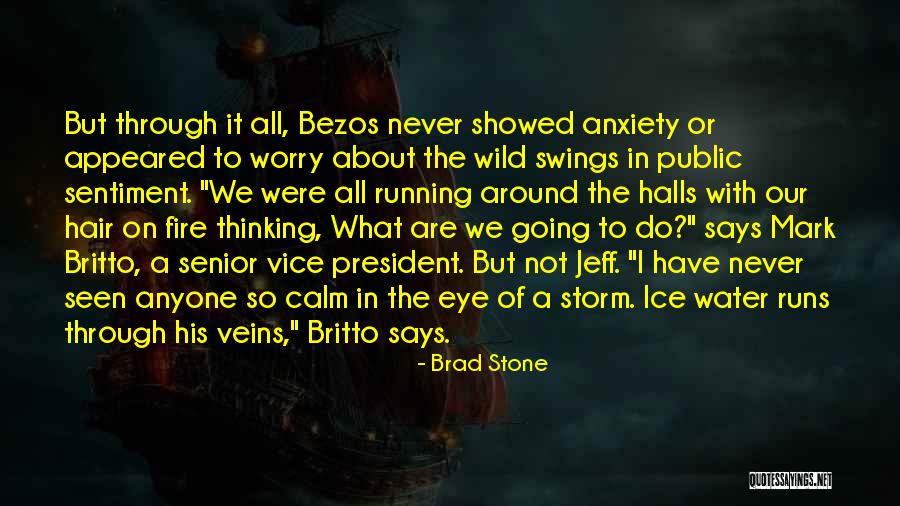 Water Stone Quotes By Brad Stone