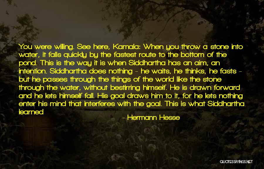 Water Stone Quotes By Hermann Hesse