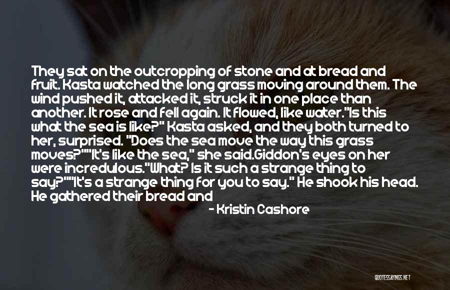 Water Stone Quotes By Kristin Cashore Water Stone Quotes By Kristin Cashore