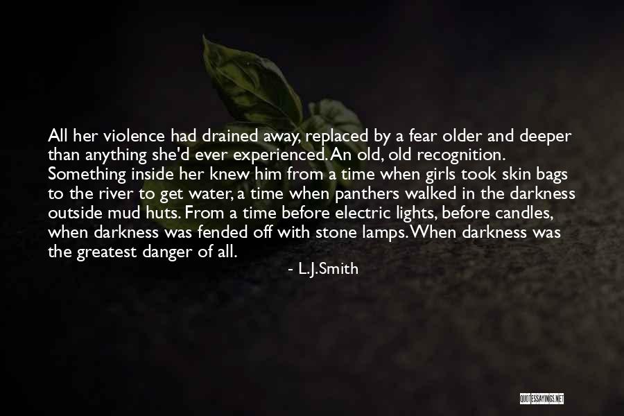 Water Stone Quotes By L.J.Smith