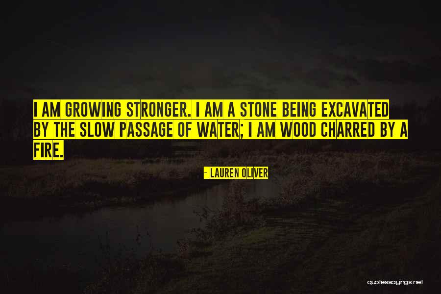 Water Stone Quotes By Lauren Oliver Water Stone Quotes By Lauren Oliver