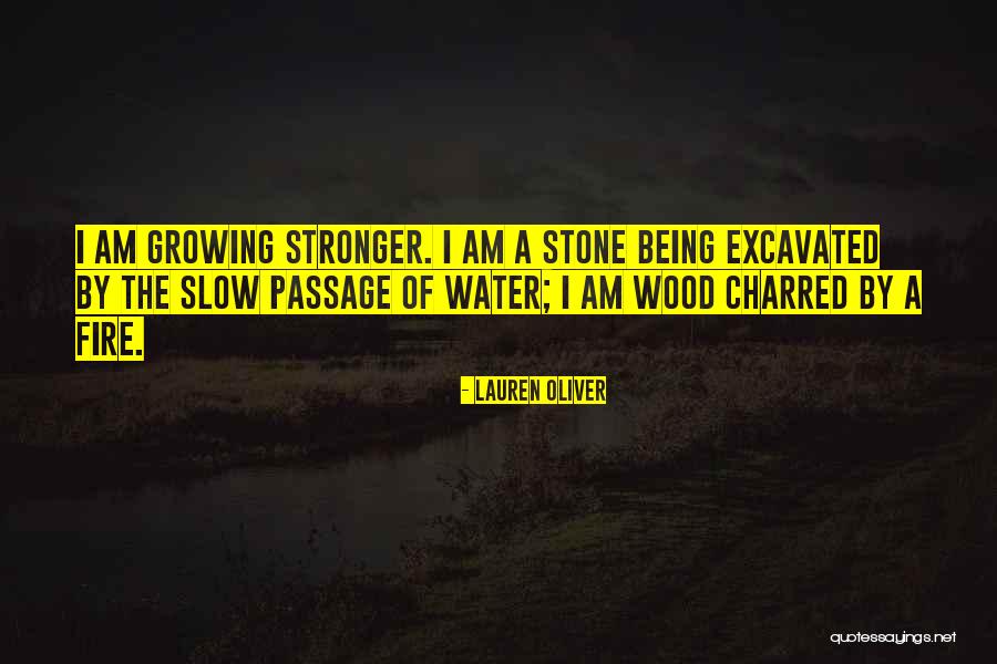 Water Stone Quotes By Lauren Oliver