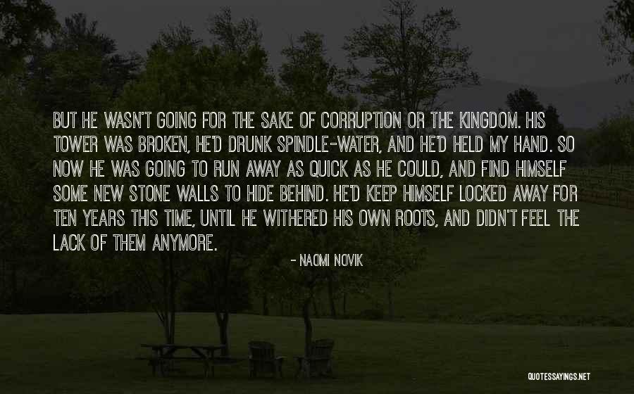 Water Stone Quotes By Naomi Novik