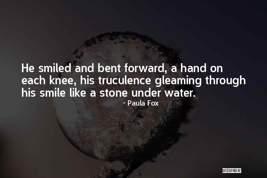 Water Stone Quotes By Paula Fox Water Stone Quotes By Paula Fox