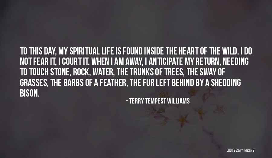 Water Stone Quotes By Terry Tempest Williams