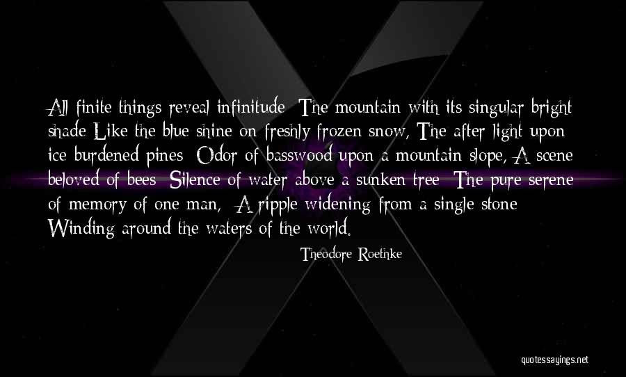 Water Stone Quotes By Theodore Roethke