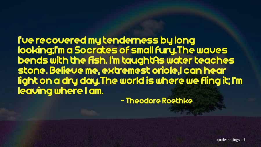 Water Stone Quotes By Theodore Roethke