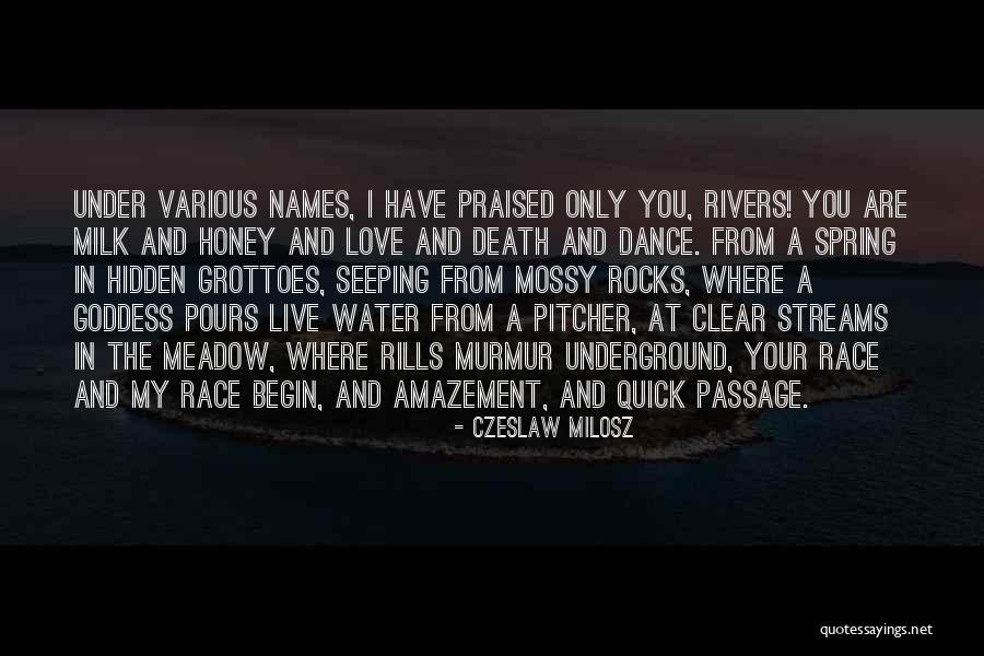 Water Streams Quotes By Czeslaw Milosz Water Streams Quotes By Czeslaw Milosz