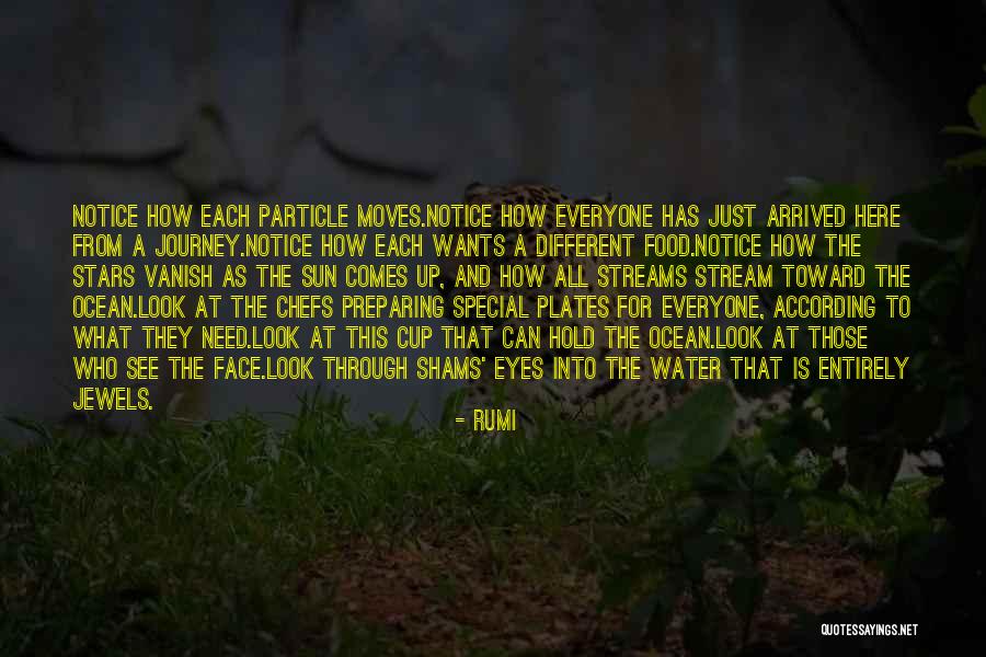 Water Streams Quotes By Rumi Water Streams Quotes By Rumi