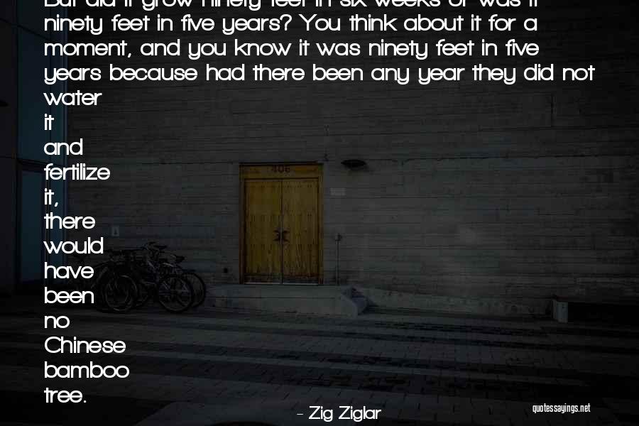 Water The Bamboo Quotes By Zig Ziglar Water The Bamboo Quotes By Zig Ziglar