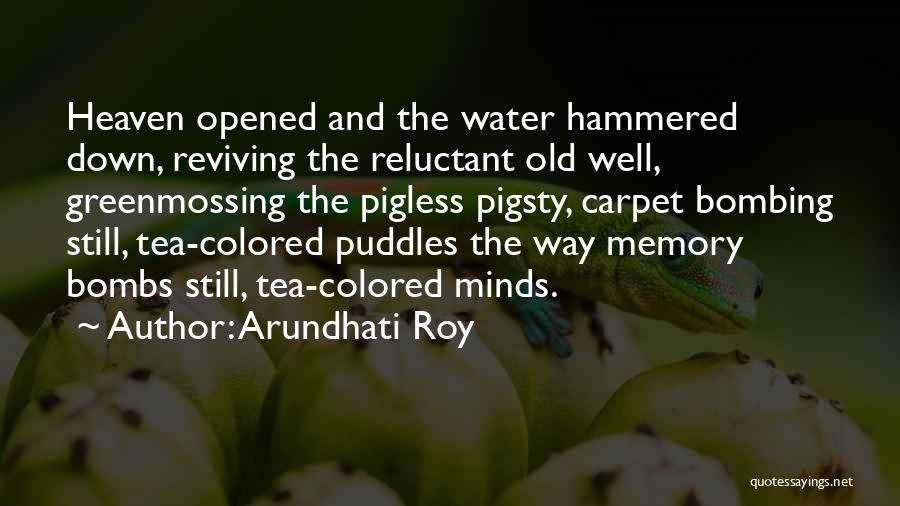 Water Well Quotes By Arundhati Roy