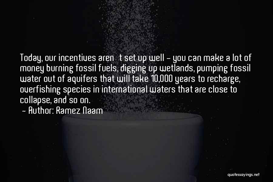 Water Well Quotes By Ramez Naam