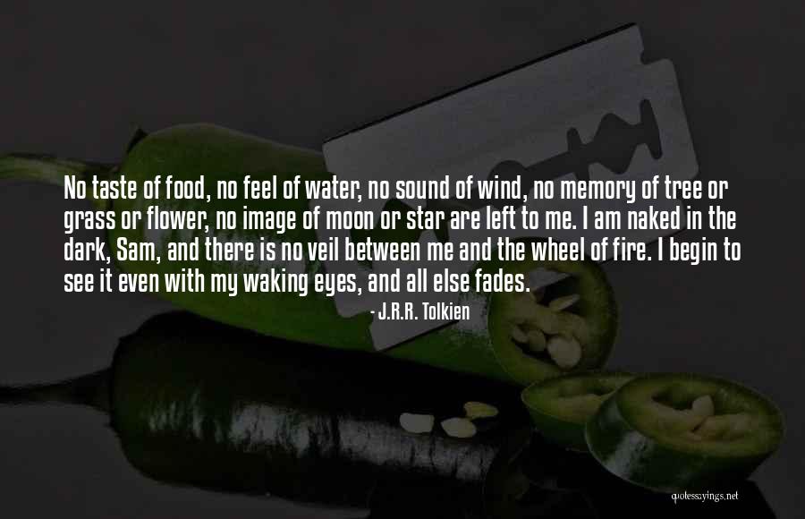 Water Wheel Quotes By J.R.R. Tolkien