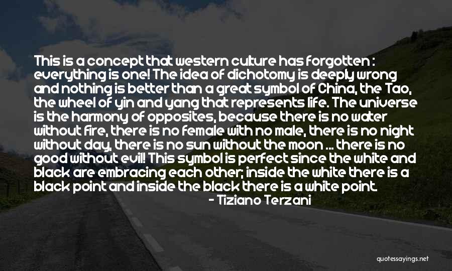 Water Wheel Quotes By Tiziano Terzani