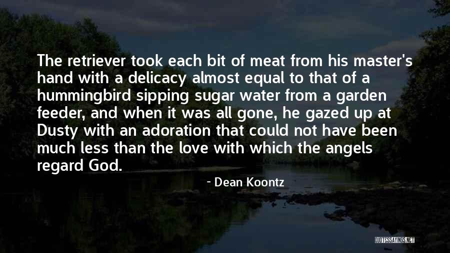 Water Your Garden Quotes By Dean Koontz