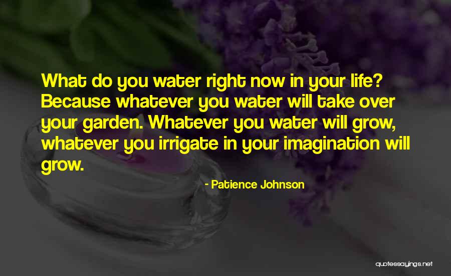 Water Your Garden Quotes By Patience Johnson