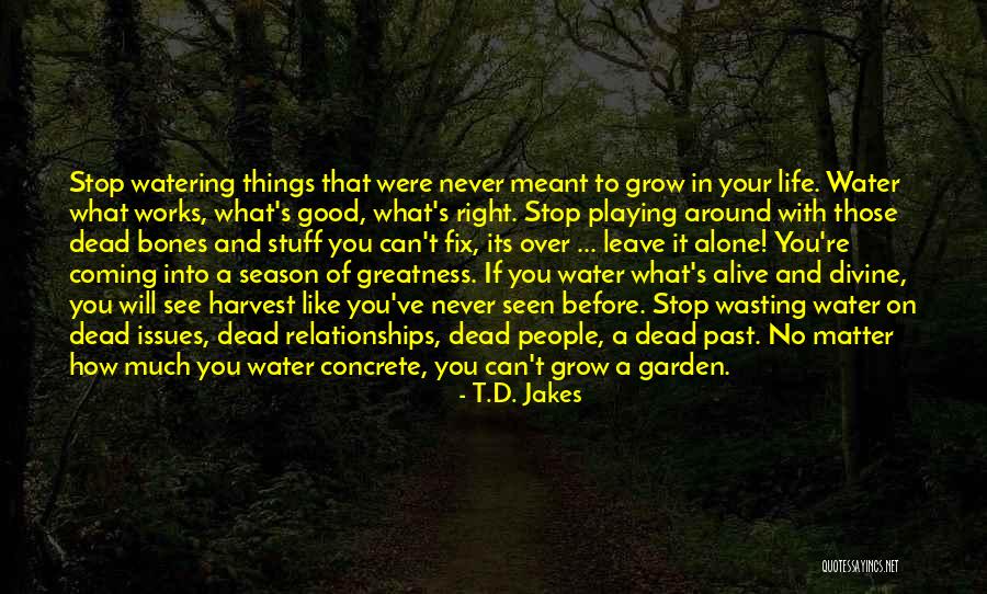 Water Your Garden Quotes By T.D. Jakes