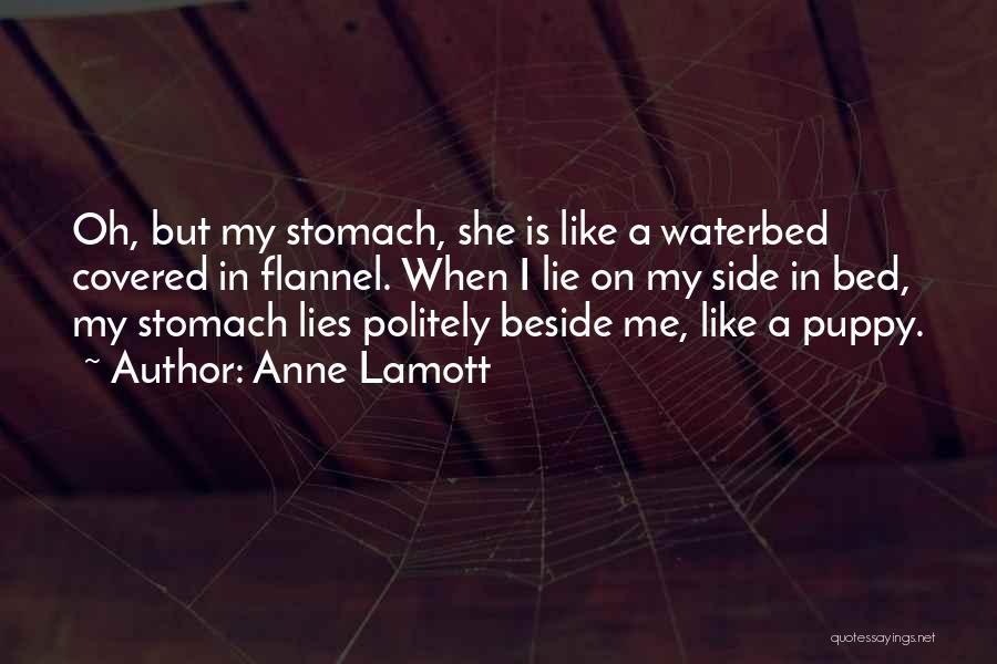 Waterbed Quotes By Anne Lamott