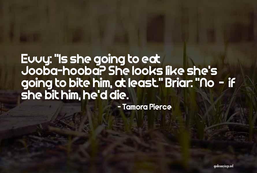 Waterbird Spirits Quotes By Tamora Pierce Waterbird Spirits Quotes By Tamora Pierce