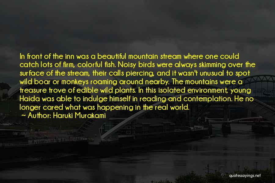 Waterbrooke Quotes By Haruki Murakami