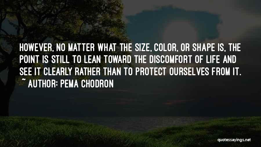 Waterbrooke Quotes By Pema Chodron