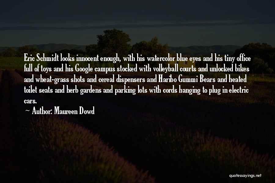 Watercolor Quotes By Maureen Dowd