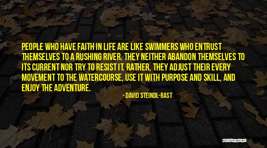 Watercourse Way Quotes By David Steindl-Rast