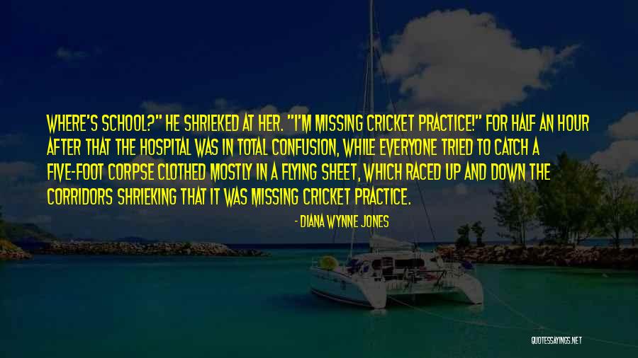 Watercrafts Quotes By Diana Wynne Jones Watercrafts Quotes By Diana Wynne Jones
