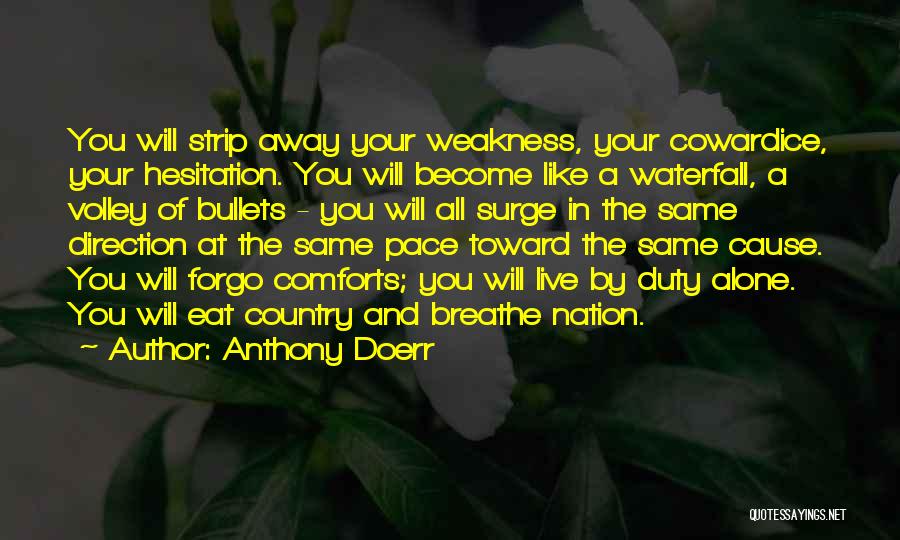 Waterfall Quotes By Anthony Doerr