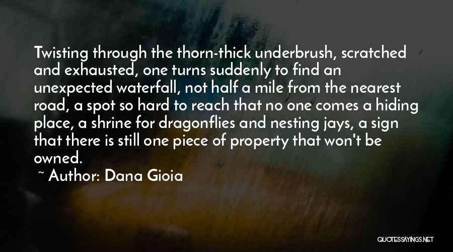 Waterfall Quotes By Dana Gioia