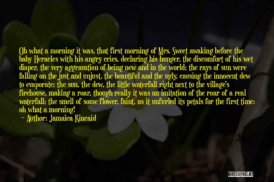 Waterfall Quotes By Jamaica Kincaid