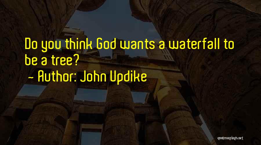 Waterfall Quotes By John Updike