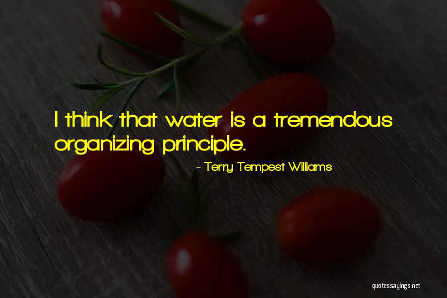 Waterfronts Near Quotes By Terry Tempest Williams Waterfronts Near Quotes By Terry Tempest Williams