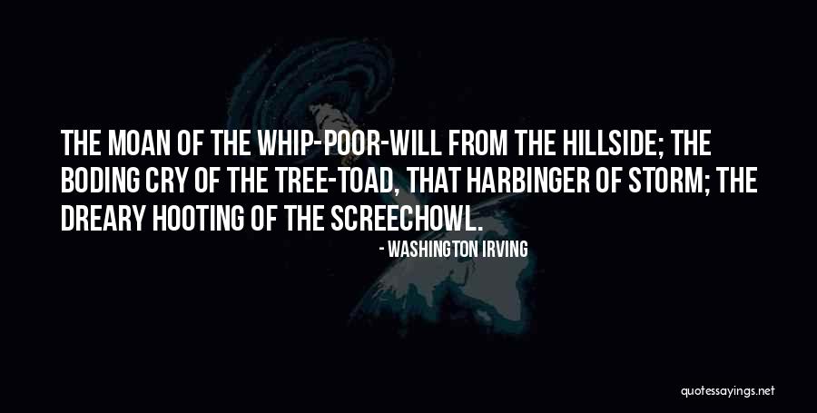 Watergate Interviews Quotes By Washington Irving Watergate Interviews Quotes By Washington Irving