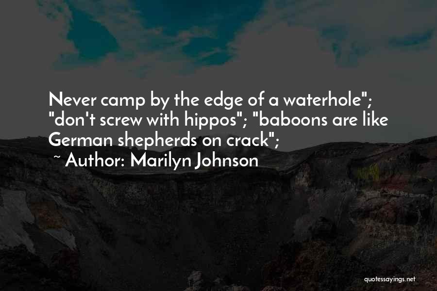 Waterhole 3 Quotes By Marilyn Johnson