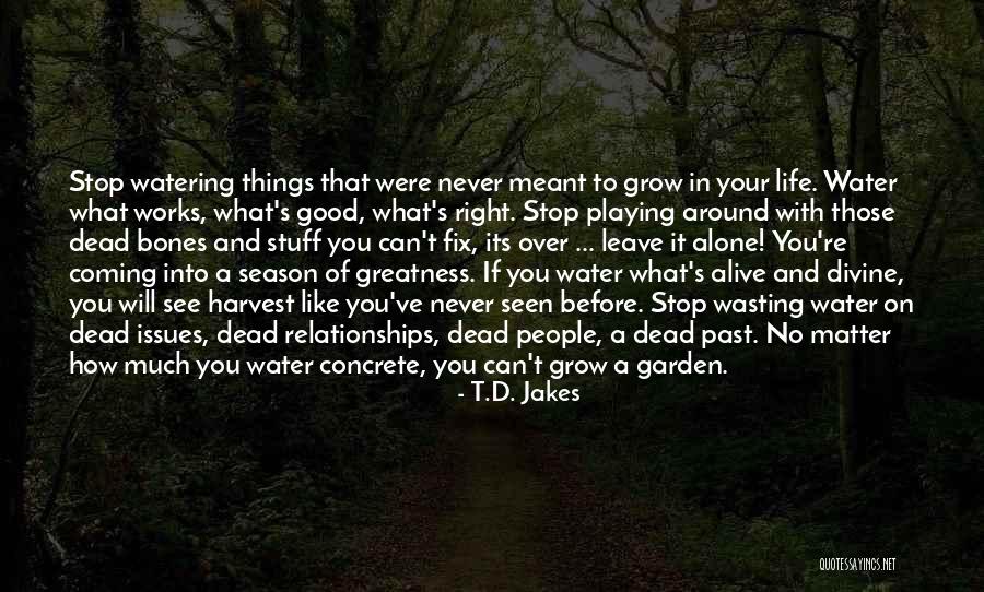 Watering Can Quotes By T.D. Jakes Watering Can Quotes By T.D. Jakes
