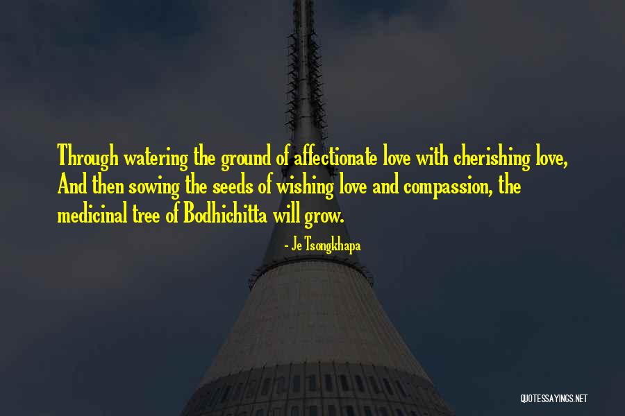 Watering Seeds Quotes By Je Tsongkhapa Watering Seeds Quotes By Je Tsongkhapa