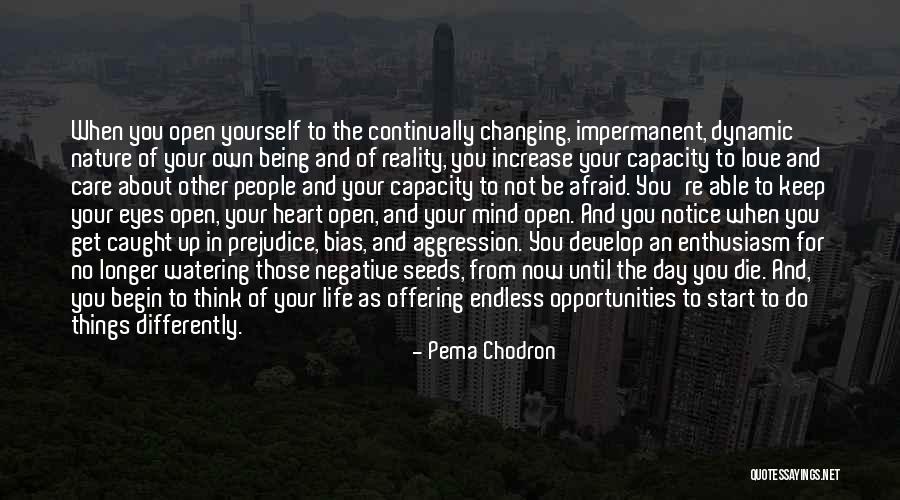 Watering Seeds Quotes By Pema Chodron Watering Seeds Quotes By Pema Chodron